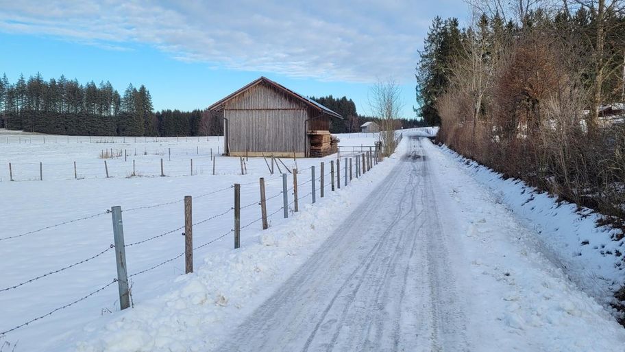 Wiesenweg zum Elbsee und zurück