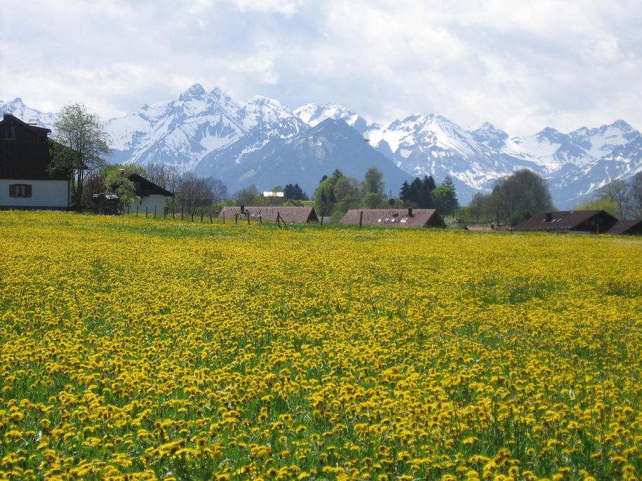 Blick nach Süden mit Haus links