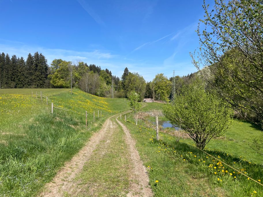 Wegeabschnitt