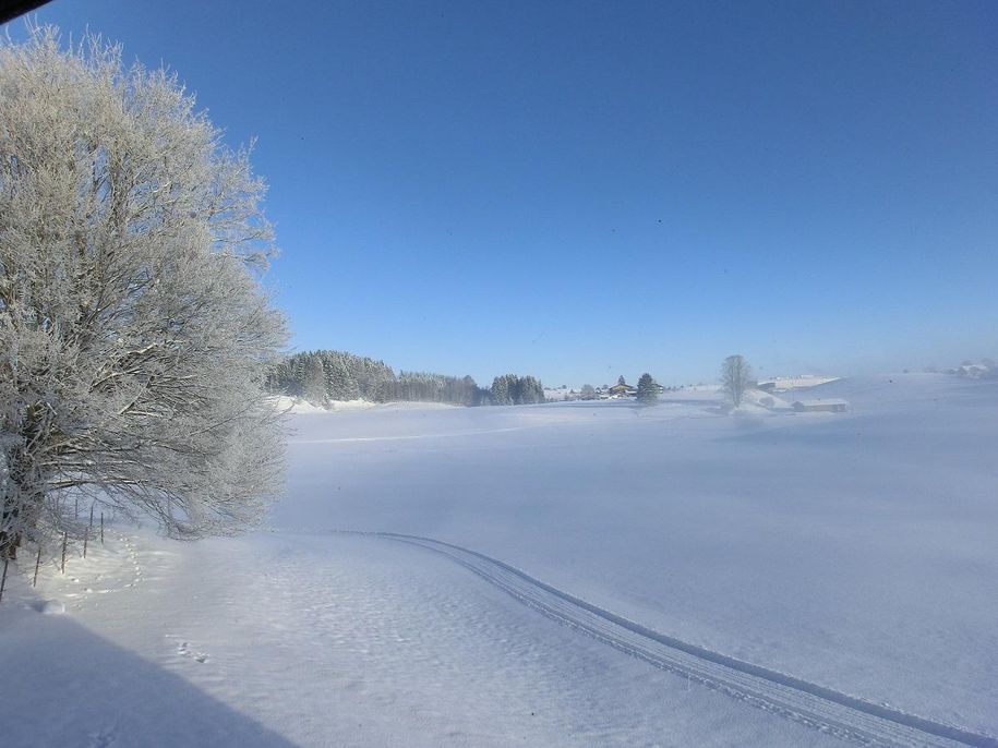 zwei Spuren im Schnee