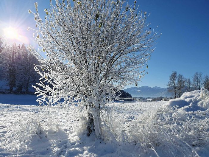 Winterurlaub im Allgäu