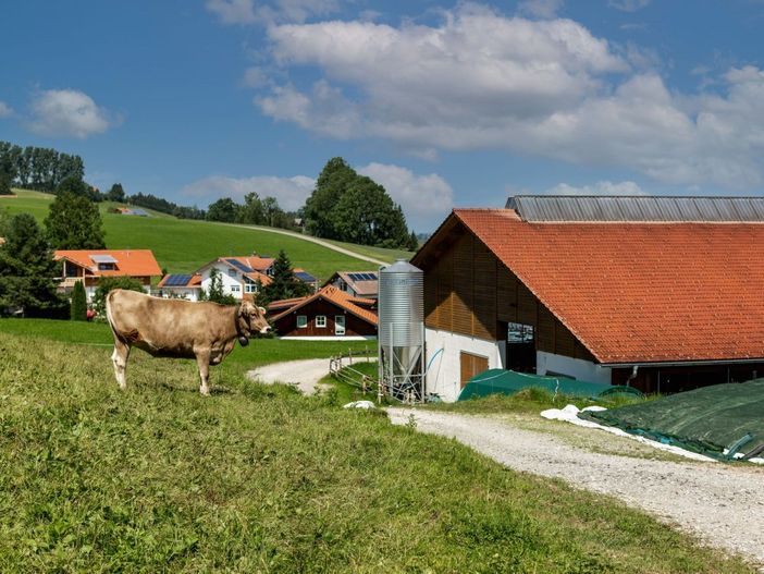 ferienhofendre