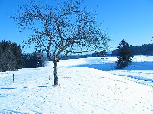 Bilder vom Winter und der Terasse 074