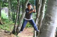 Kletterwald