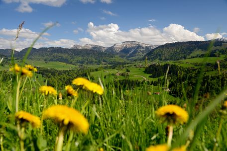 Naturpark Nagelfluhkette