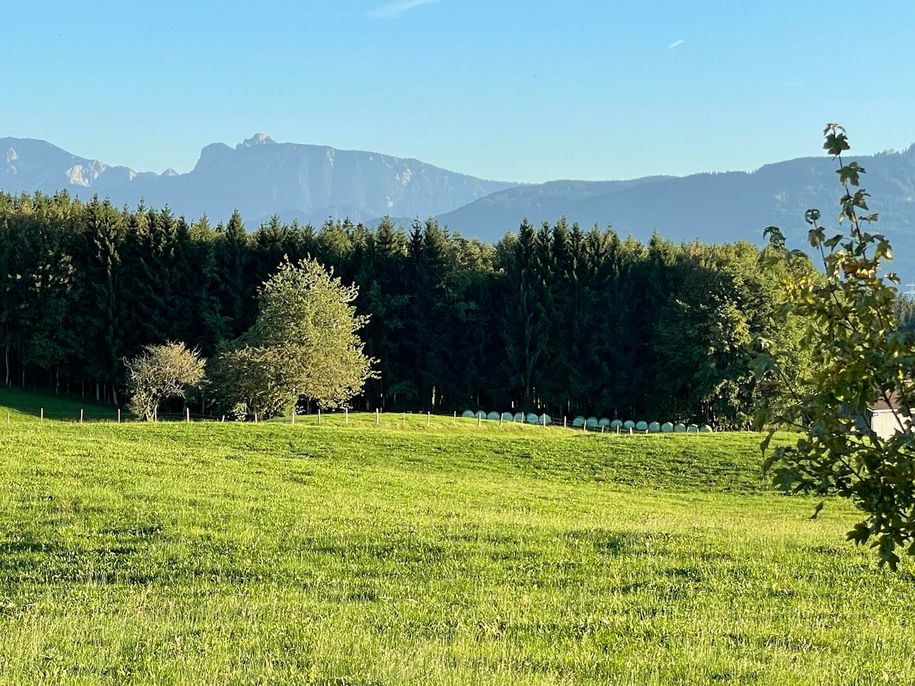 Blick zum Breitenberg auf Moorspaziergang