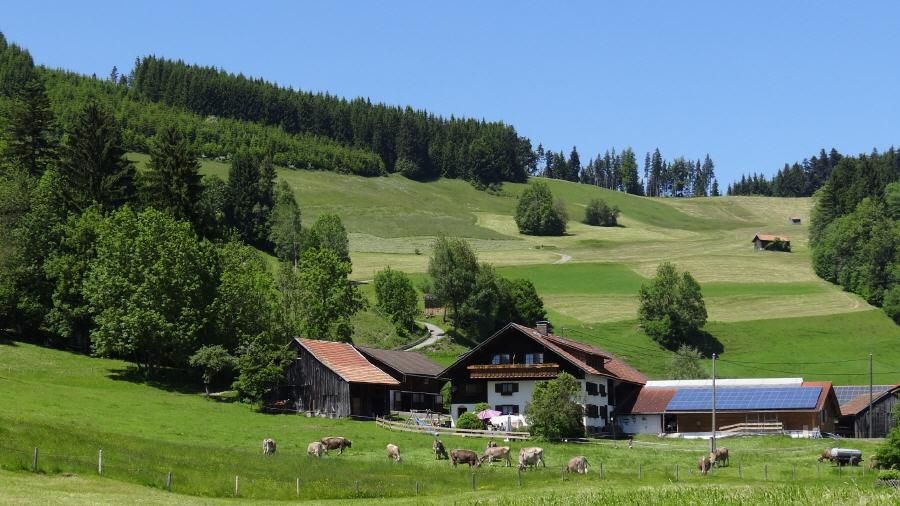 Mayrhof in Ofterschwang im Allgäu