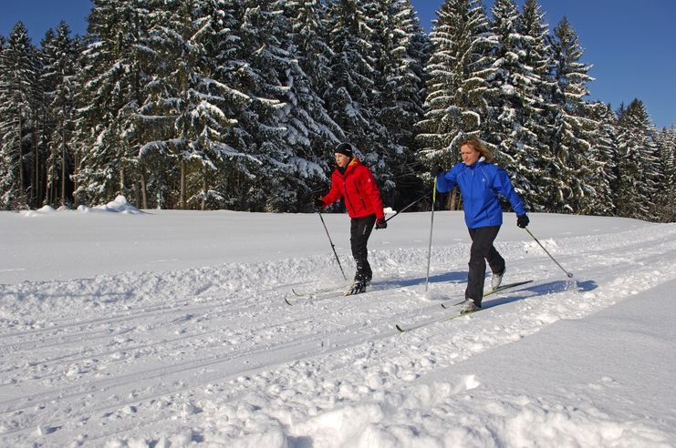 Lindenberg Anschlussloipe Hallenbad - Scheidegg - Waldsee-Loipe