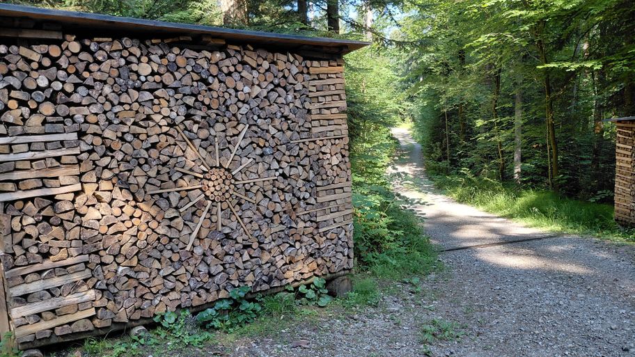 Holzbeige im Wald