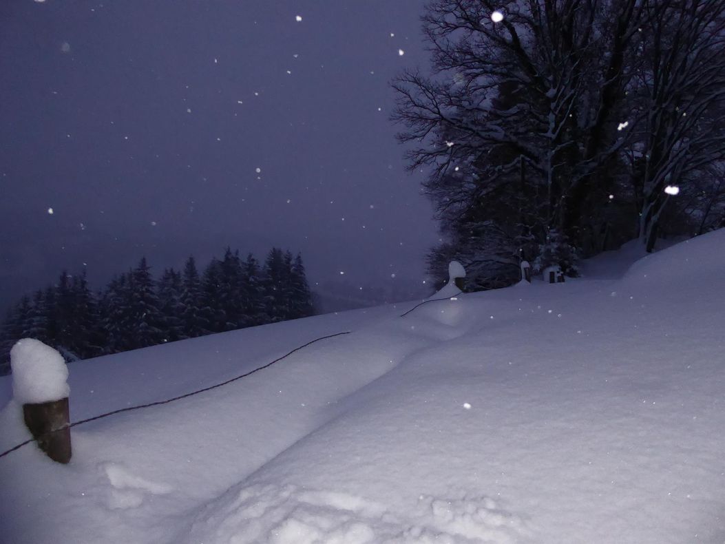Am Bänkle mit Blick auf die Seepromenade