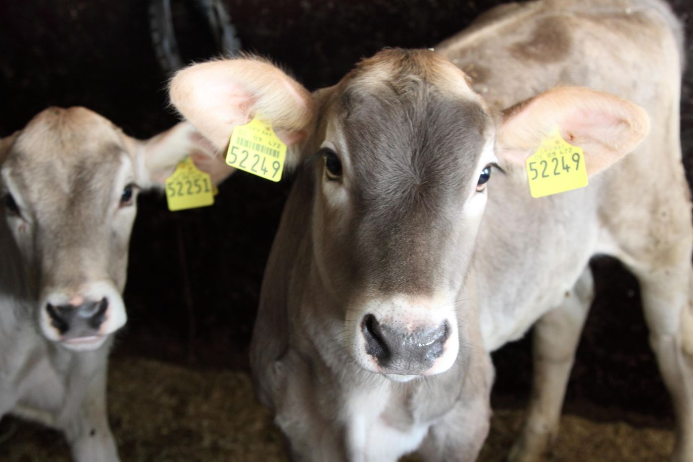 unser kleiner Nachwuchs