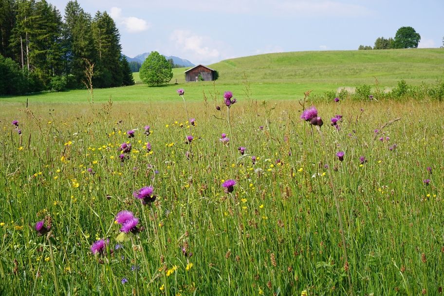 Logenplatz-Route - Natur genießen