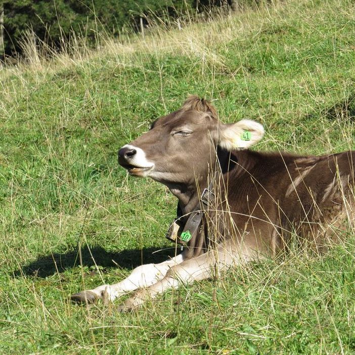 ausruhen