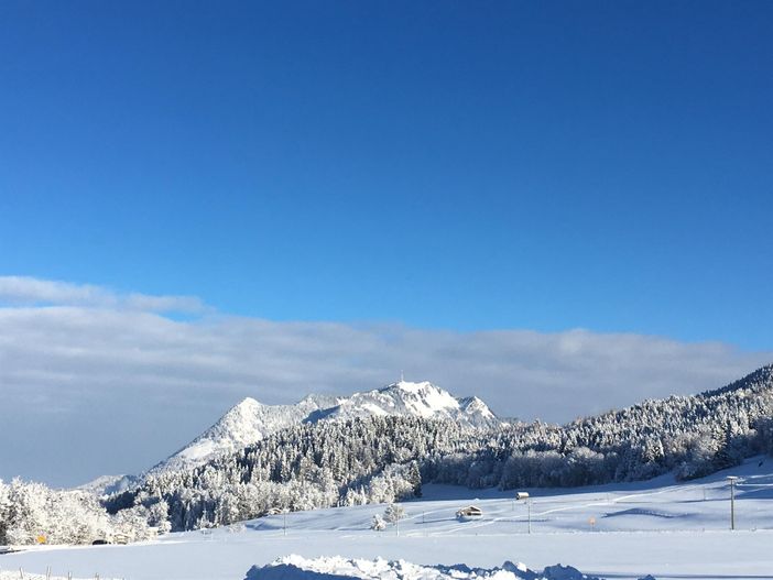 Blick vom Haus Richtung Grünten