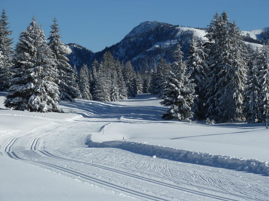 Lang- und Skating Loipen  am Oberjoch