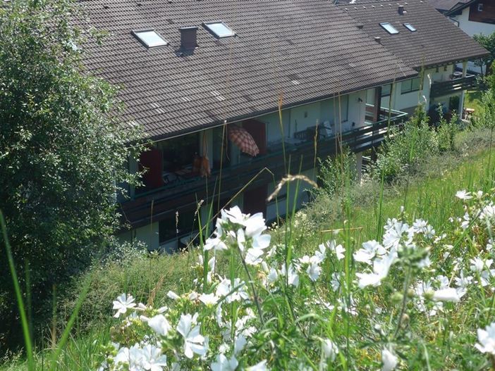 Westbalkon
