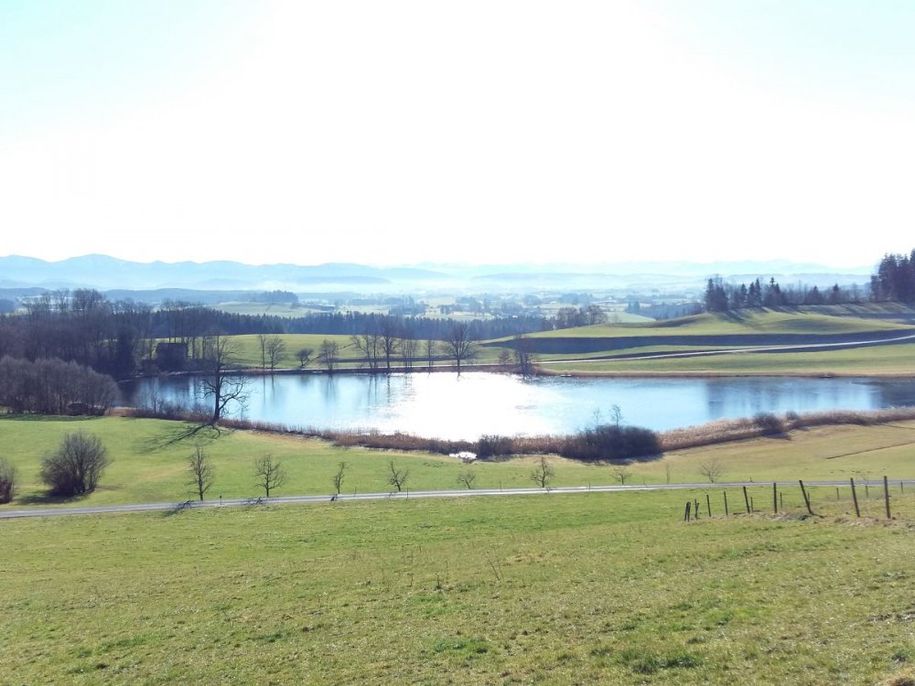 Schlossweiher Siggen - 5min entfernt