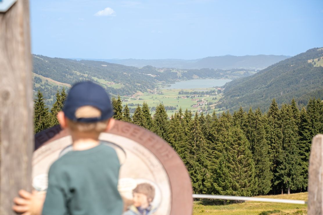 Expedition Nagelfluh am Hündle