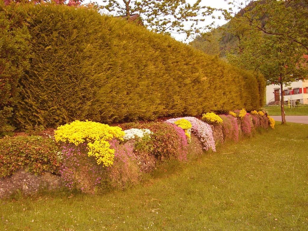 Garten 2