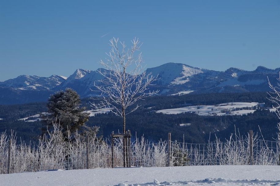 Winterimpressionen 3
