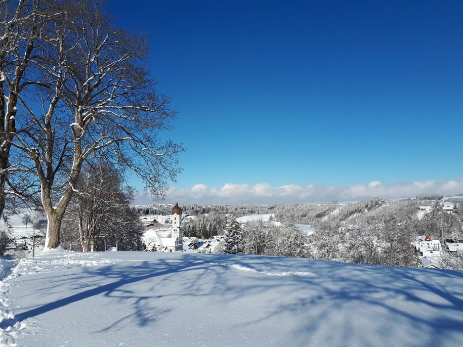 Winter 01_ 2021_01