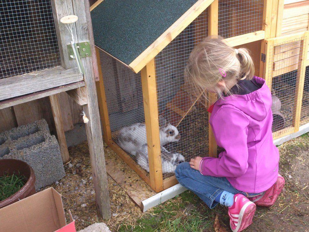 unserehschenwartenschonaufeuch