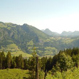 Bild 21