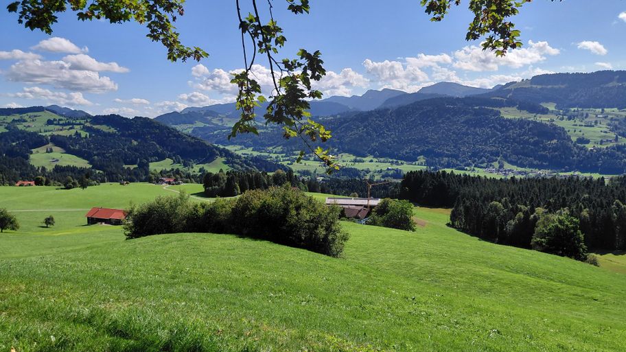 Blick auf die Parzellen Glafberg und Halden mit der Nagelfluhkette im Hintergrund