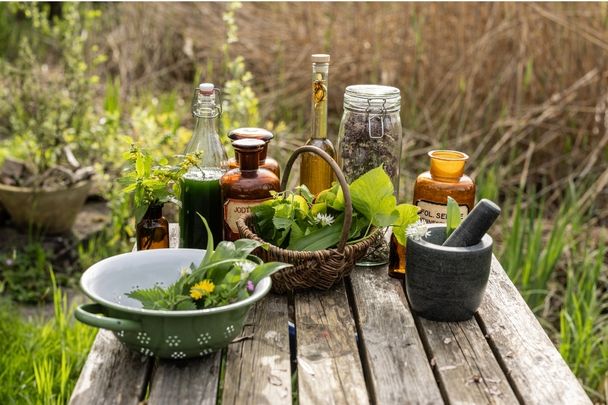 Workshop: Naturkosmetik