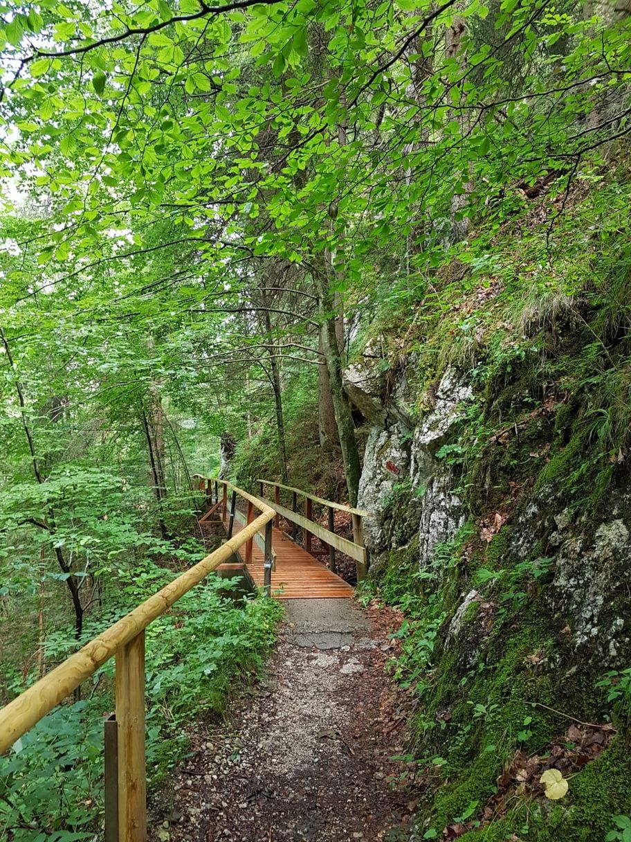 Holzsteg am Alpenrosenweg