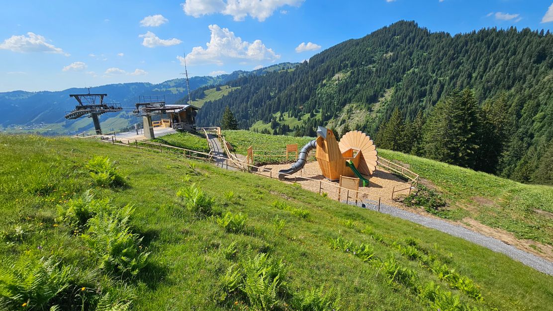 Erlebniswelt Raufußhuhn