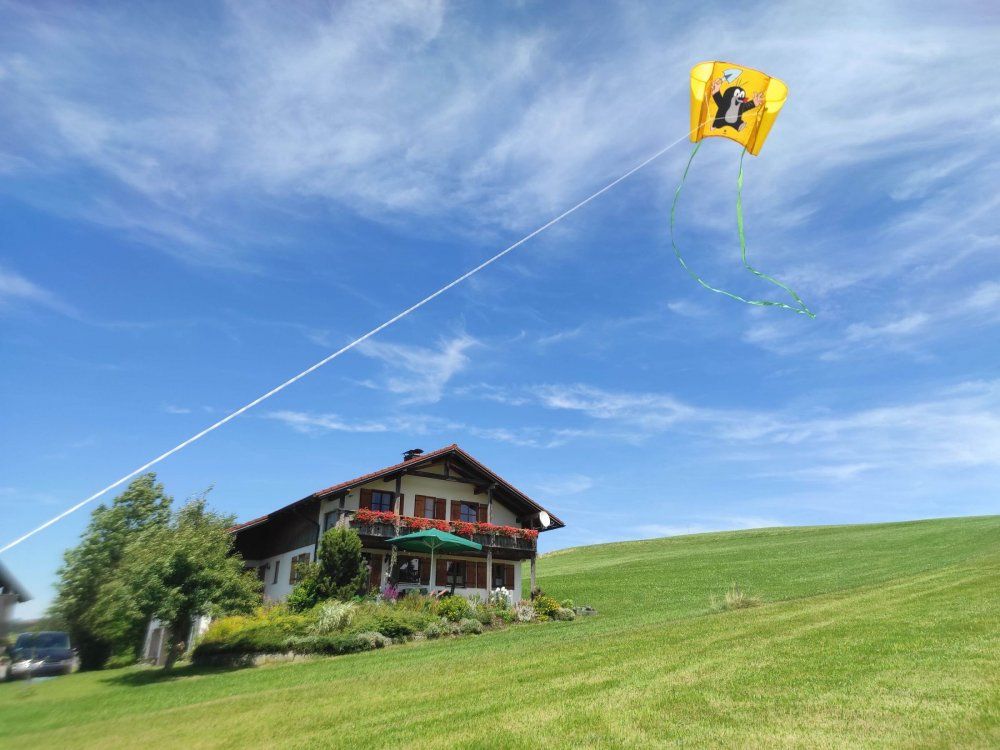 Drachensteigen im Sonnenschein