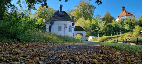 Stadt Mindelheim, Beck