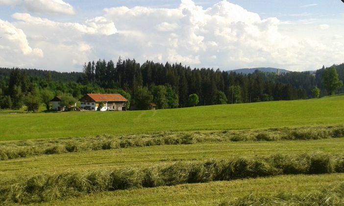 ...bei der Heuernte mit Blick zum Hof