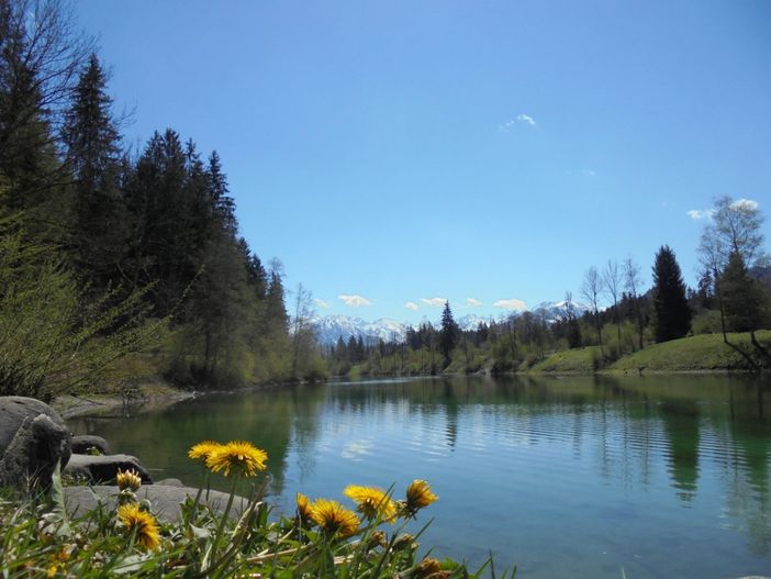 Frühling_am_Auwaldsee_in_Fischen_im_Allgäu