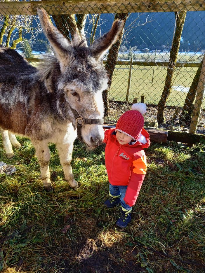 Esel Gina mit Enkel Maresa