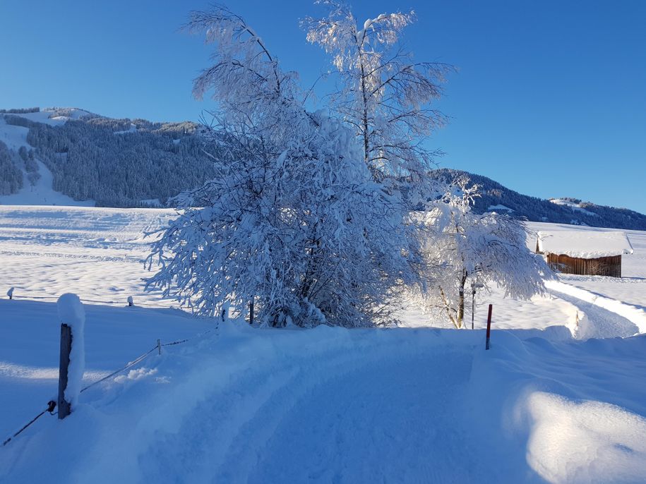 Spazierweg um Bolsterlang