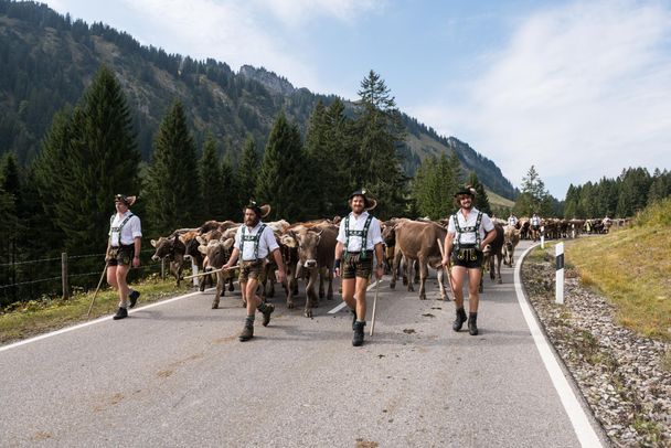 Abtrieb ins Tal über den Riedbergpass