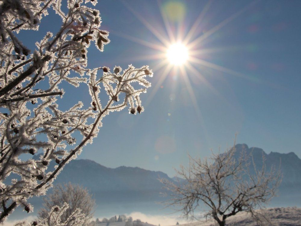 Winterimpressionen Biohof Stöger