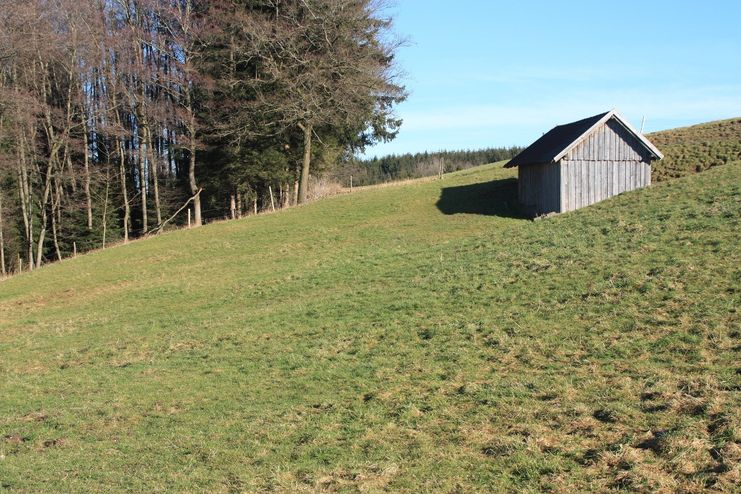 Wanderweg bei Hauerz