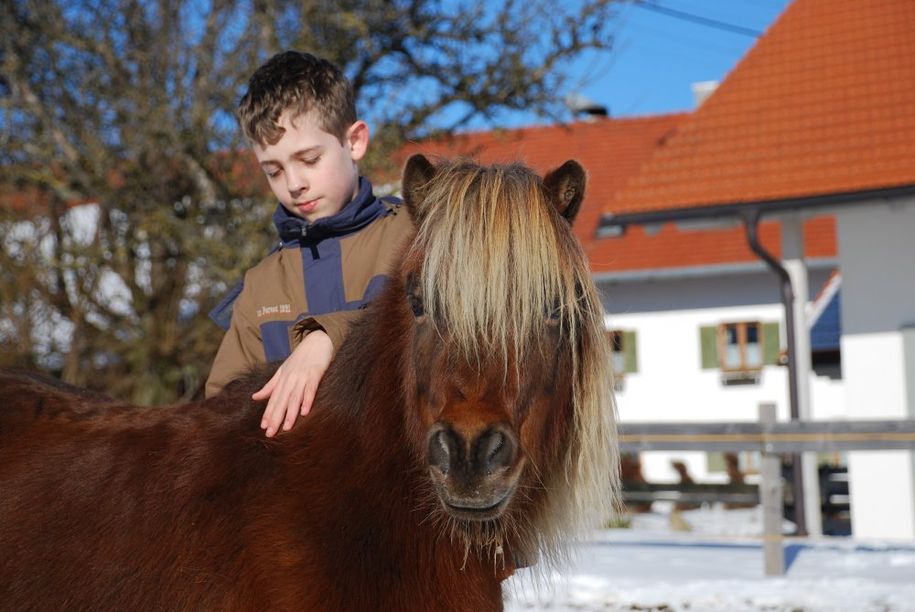 Pony-Rudi
