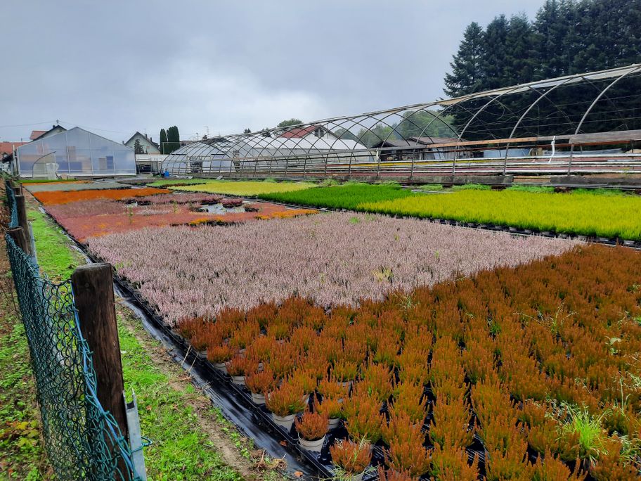 Gärtnerei in Kleinweiler