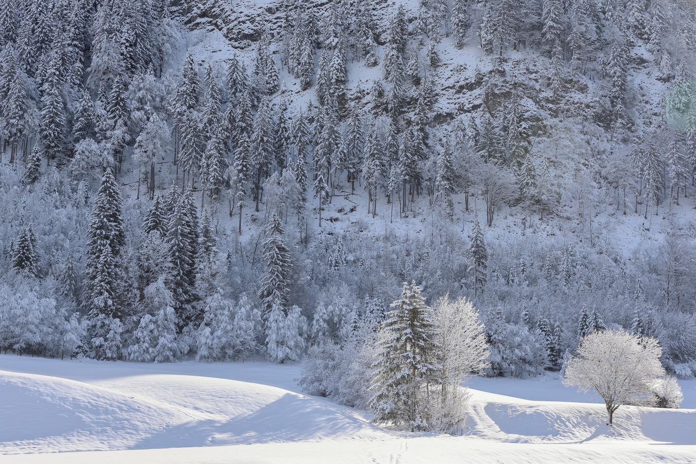 Sonnenbichl Winterspaziergang