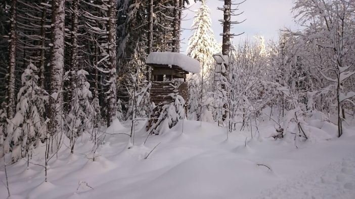 Winterwanderweg