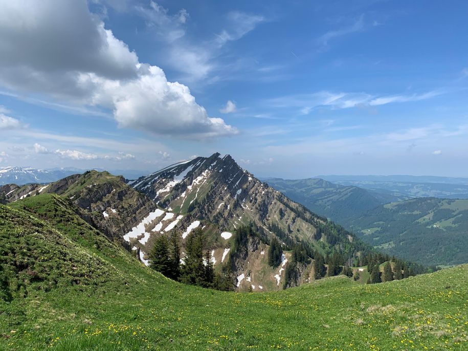 Landschaft