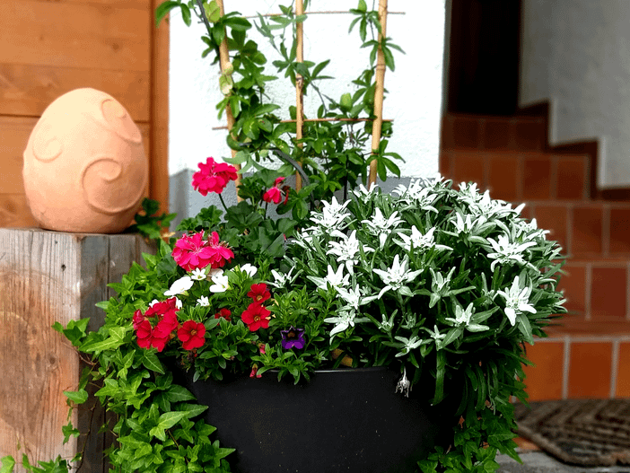 Blumenschmuck