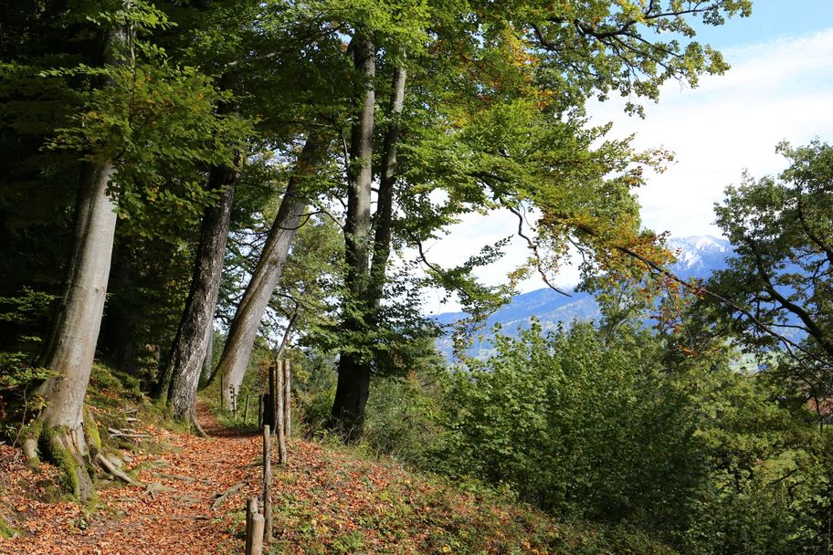 Grählweg
