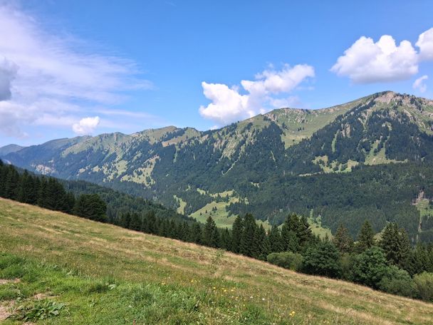 Gunzesried: Birkachmoor