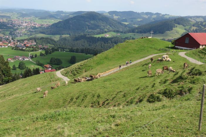 auf dem Weg zum Imberg