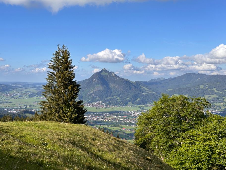 Blick Richtung Grünten